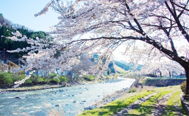 釜石市画像